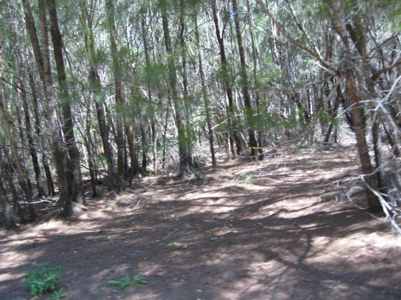 Russell Island QLD 4184