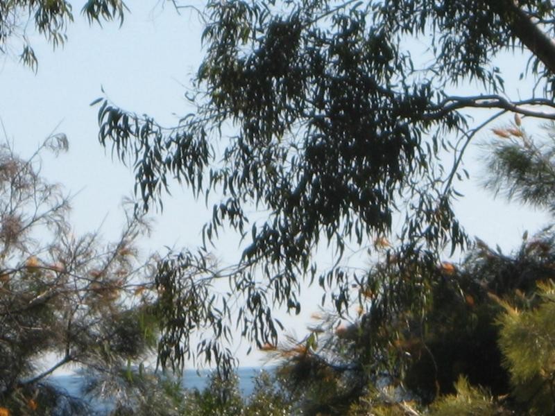 Russell Island QLD 4184