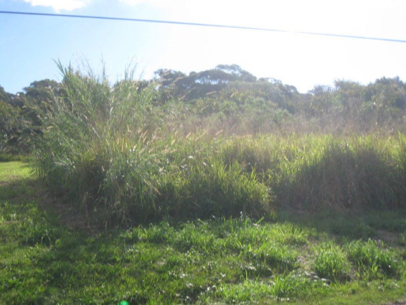 Russell Island QLD 4184