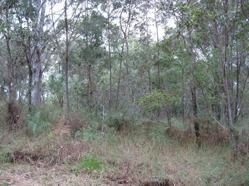 44 Jingella Avenue, Russell Island QLD 4184