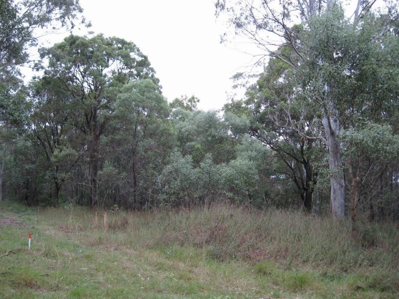 44 Jingella Avenue, Russell Island QLD 4184