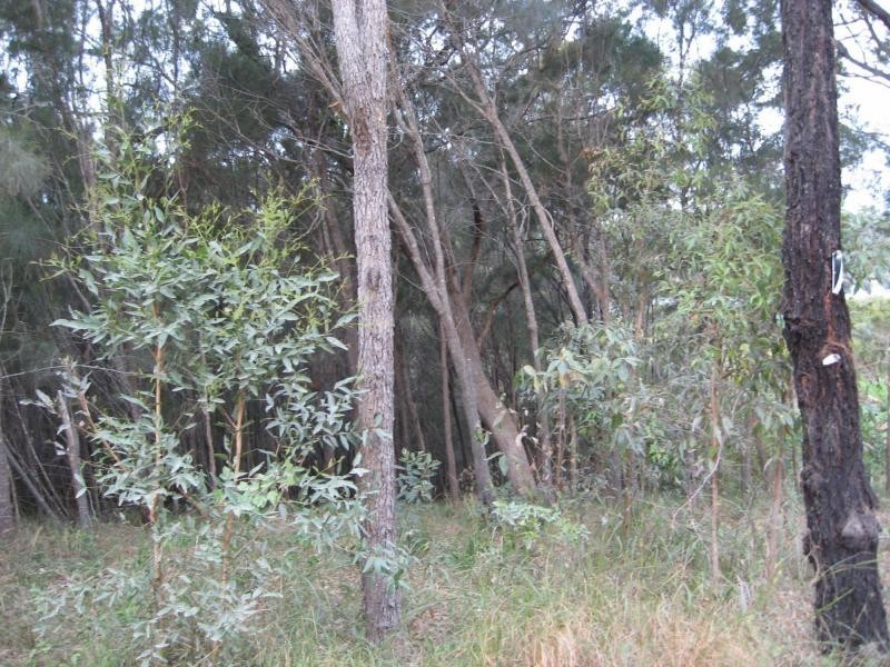 Russell Island QLD 4184