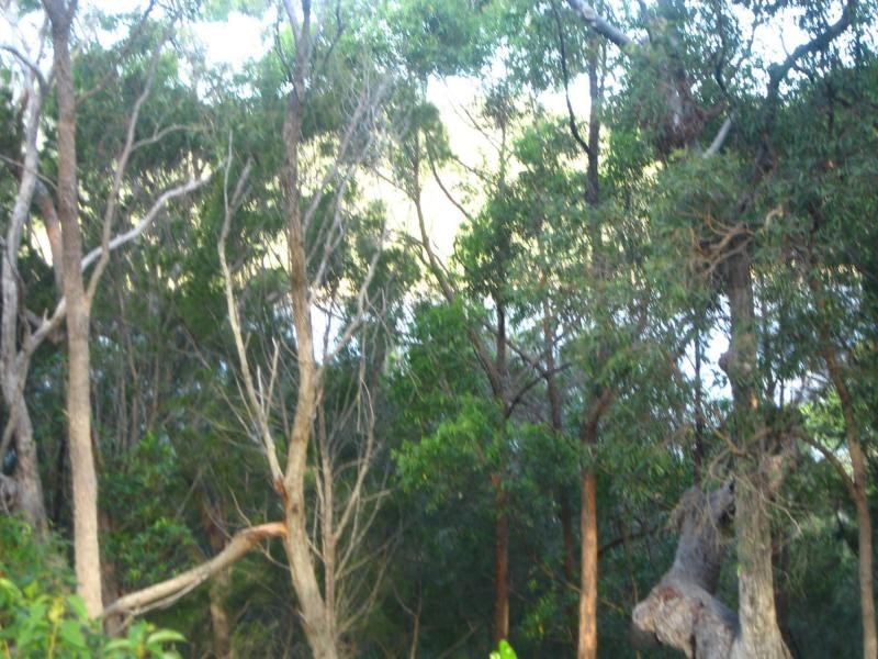 Russell Island QLD 4184