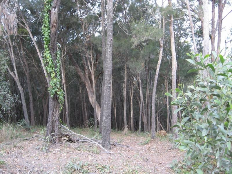 Russell Island QLD 4184