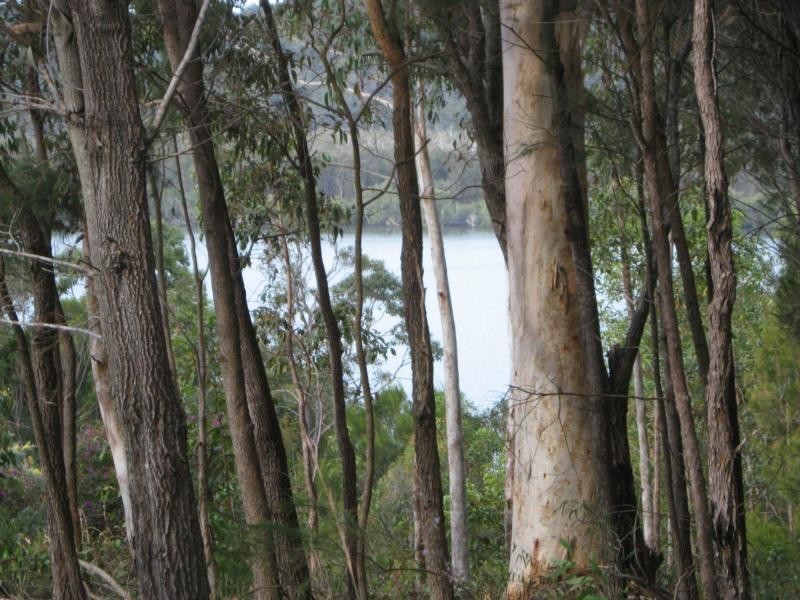 6 Leichhardt Terrace, Russell Island QLD 4184