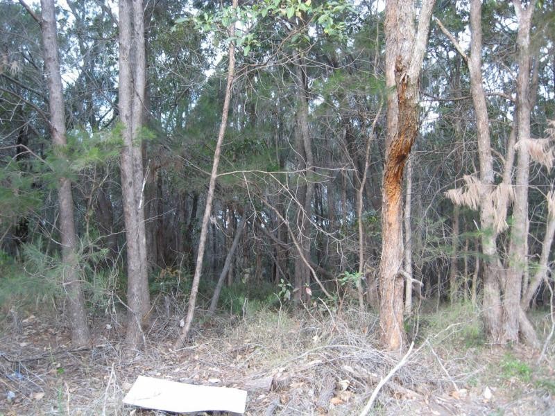 6 Leichhardt Terrace, Russell Island QLD 4184