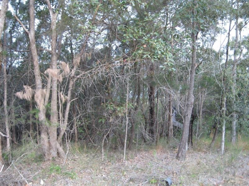 6 Leichhardt Terrace, Russell Island QLD 4184