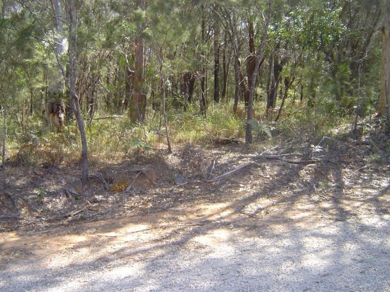 10 Castle Wood Crescent, Russell Island QLD 4184