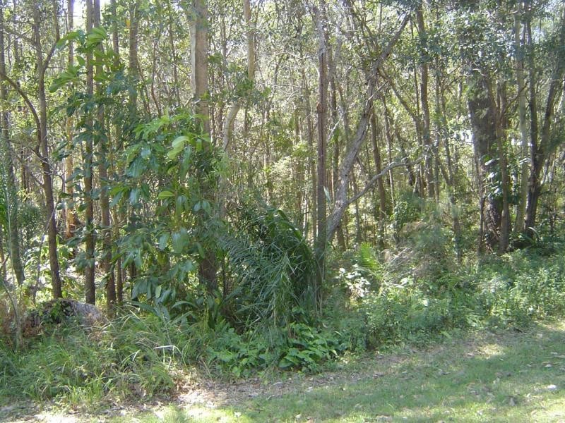 Russell Island QLD 4184