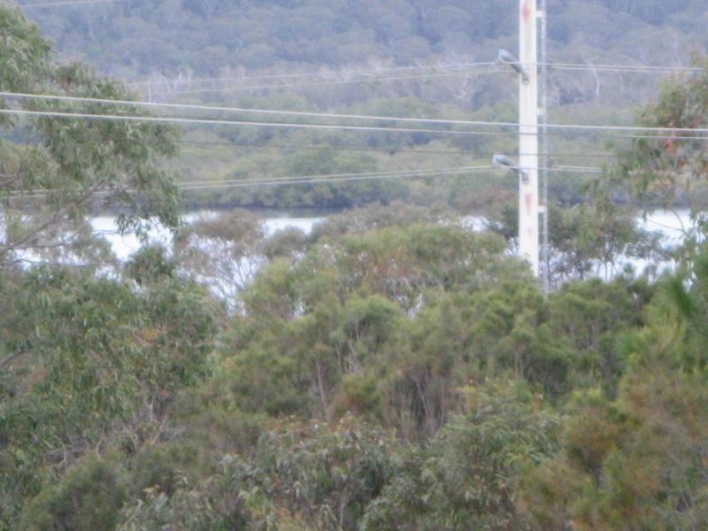 Russell Island QLD 4184