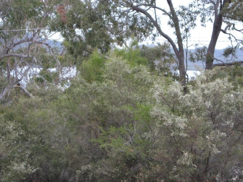 Russell Island QLD 4184