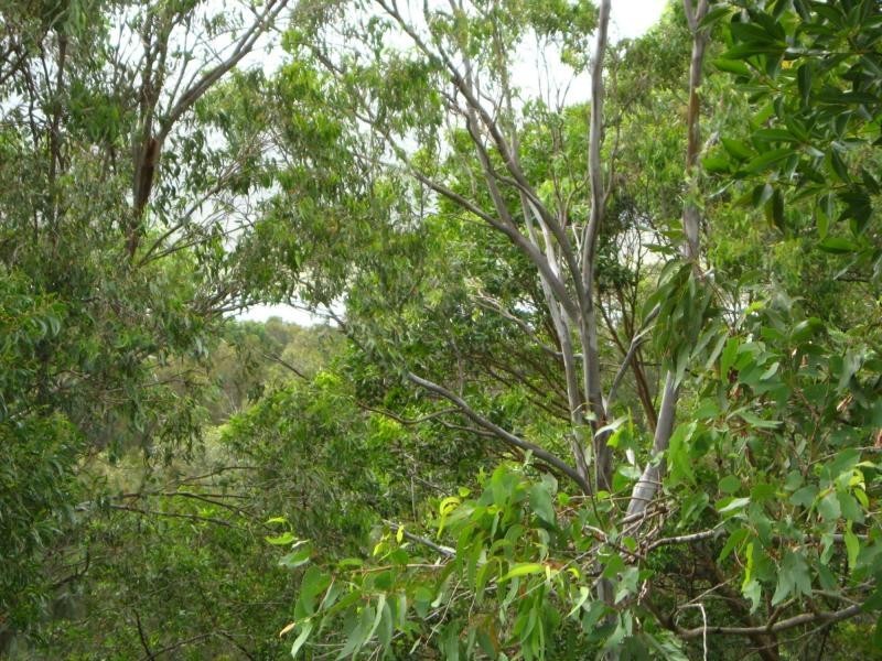 Russell Island QLD 4184