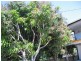 Russell Island QLD 4184