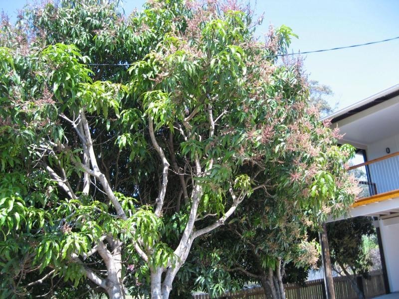 Russell Island QLD 4184