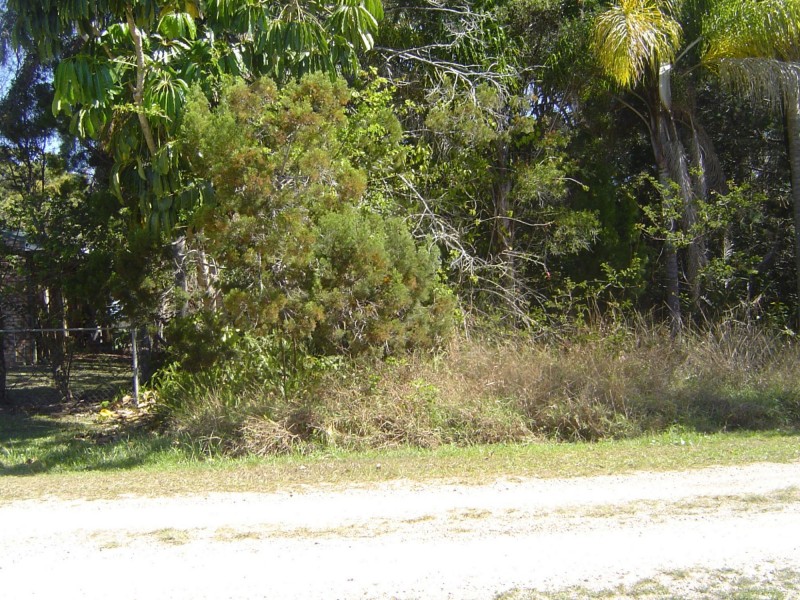 6 Bunning Street, Russell Island QLD 4184