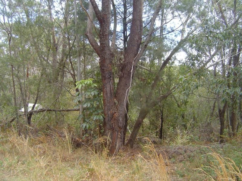 Russell Island QLD 4184