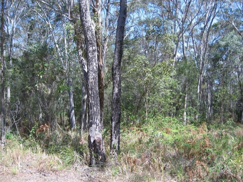 Russell Island QLD 4184