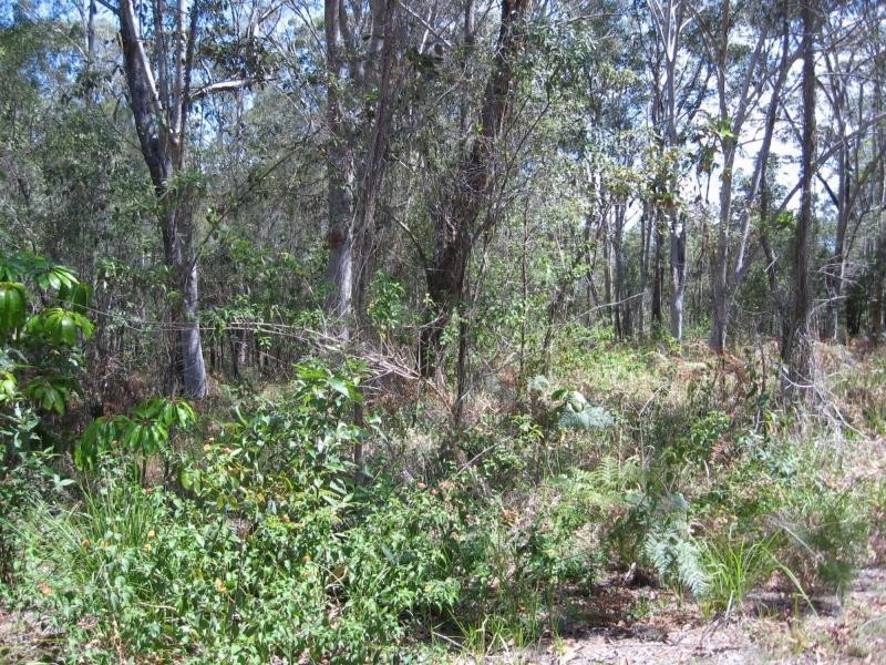 Russell Island QLD 4184
