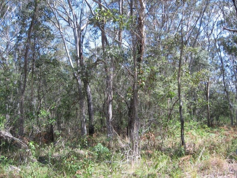 Russell Island QLD 4184