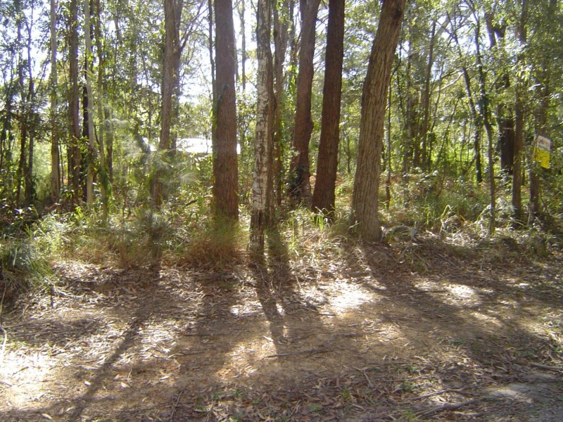 27 Ilumba Street, Russell Island QLD 4184