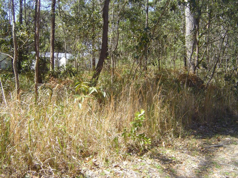 27 Ilumba Street, Russell Island QLD 4184