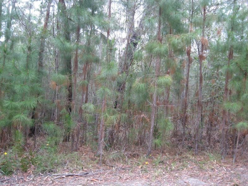 Russell Island QLD 4184