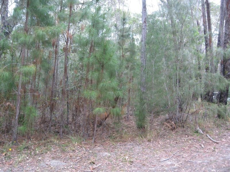 Russell Island QLD 4184