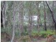 Russell Island QLD 4184