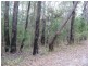 Russell Island QLD 4184