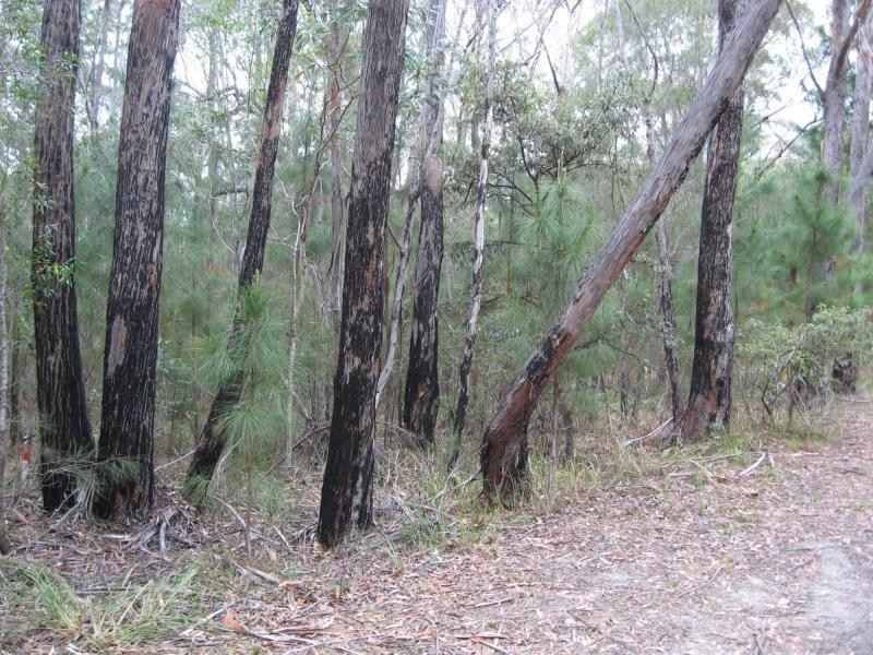 Russell Island QLD 4184