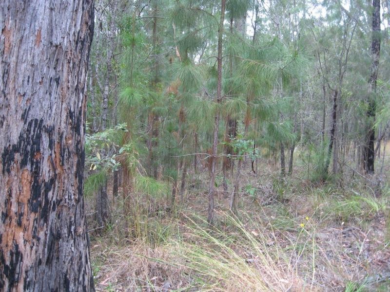 Russell Island QLD 4184