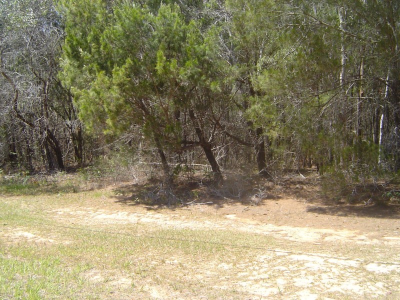 18 Beaumont Drive, Russell Island QLD 4184