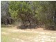 18 Beaumont Drive, Russell Island QLD 4184