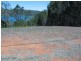119 Wahine Drive, Russell Island QLD 4184