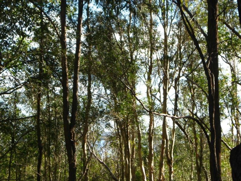 Russell Island QLD 4184