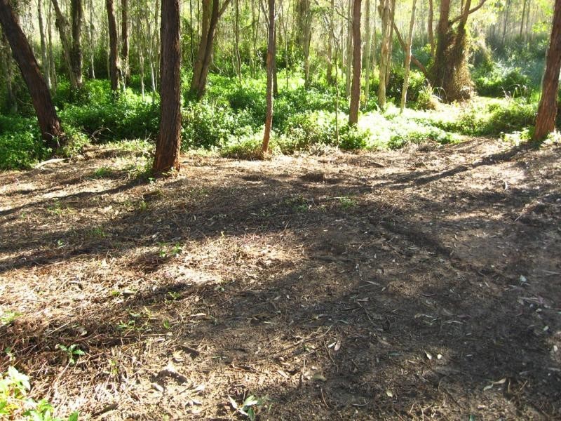 Russell Island QLD 4184