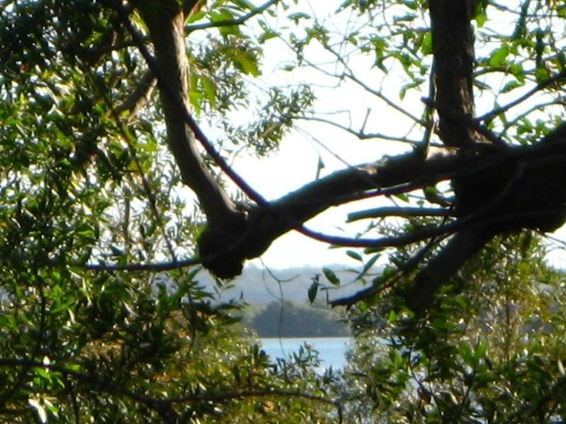 Russell Island QLD 4184