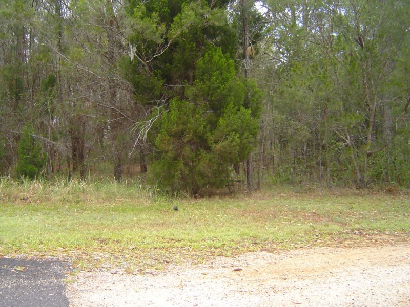 4 Todman Street, Russell Island QLD 4184