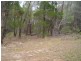 5 Tulloch Street, Russell Island QLD 4184