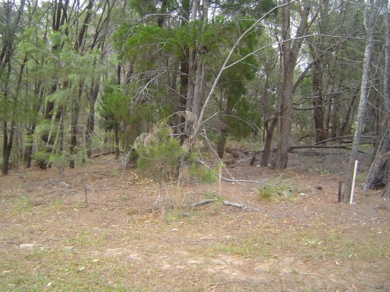 5 Tulloch Street, Russell Island QLD 4184