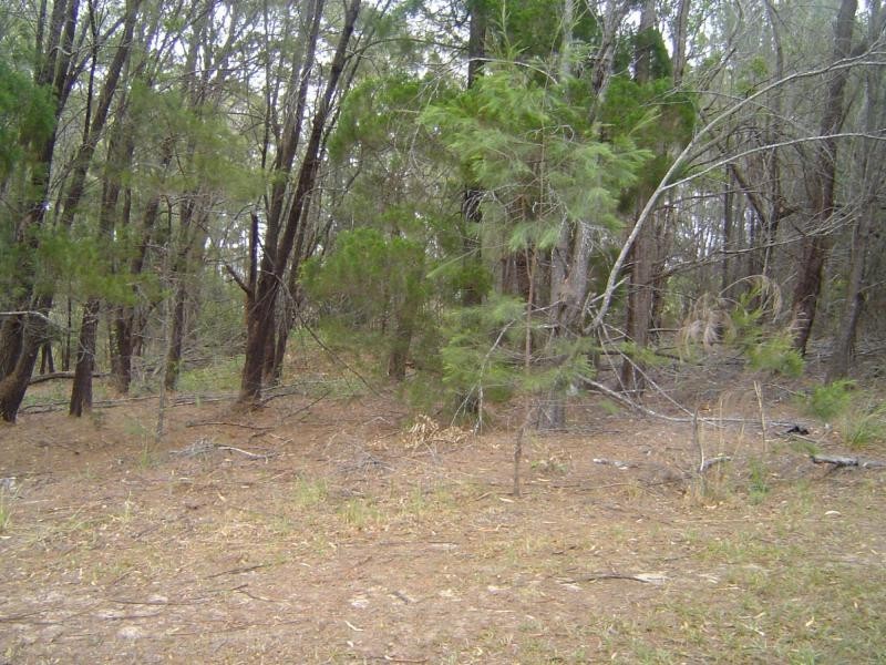 5 Tulloch Street, Russell Island QLD 4184