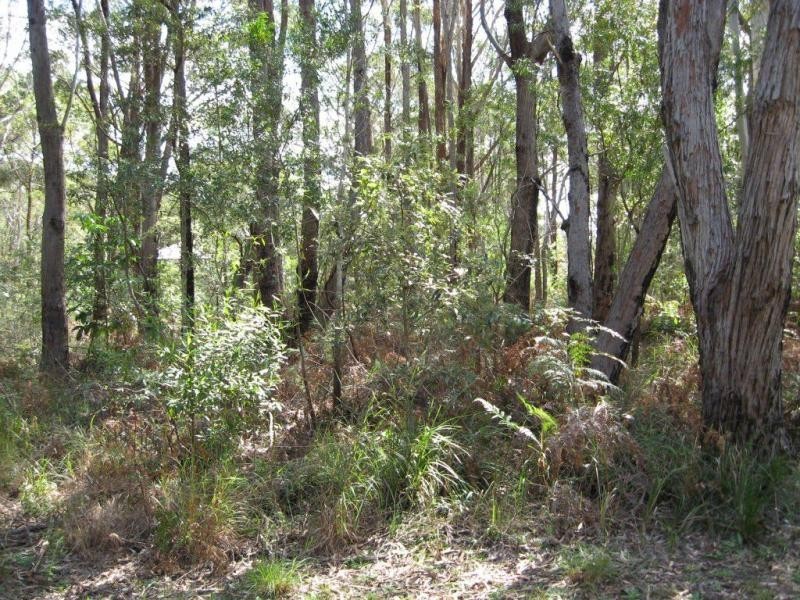 Russell Island QLD 4184