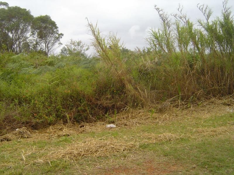 Russell Island QLD 4184