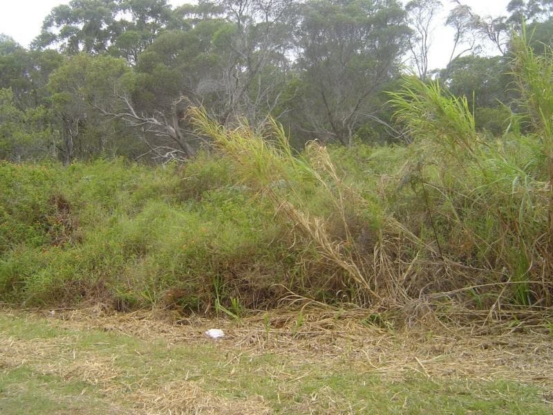 Russell Island QLD 4184