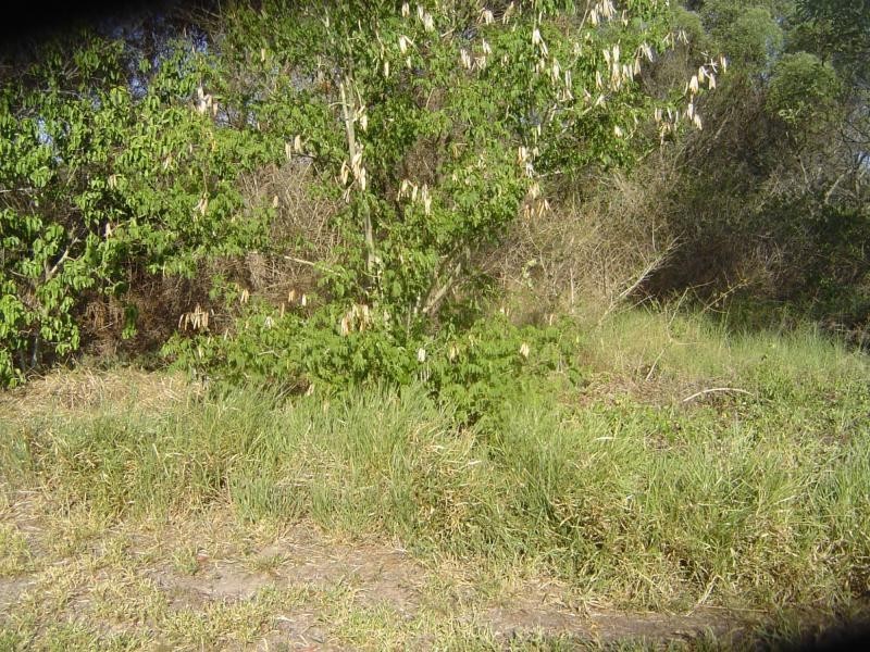 Russell Island QLD 4184