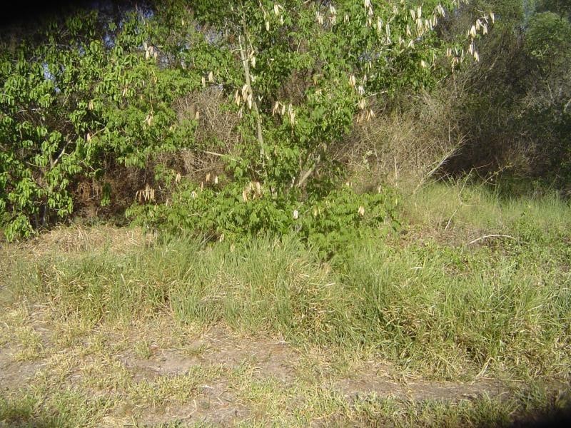 Russell Island QLD 4184