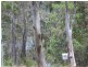 Russell Island QLD 4184