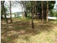 Russell Island QLD 4184