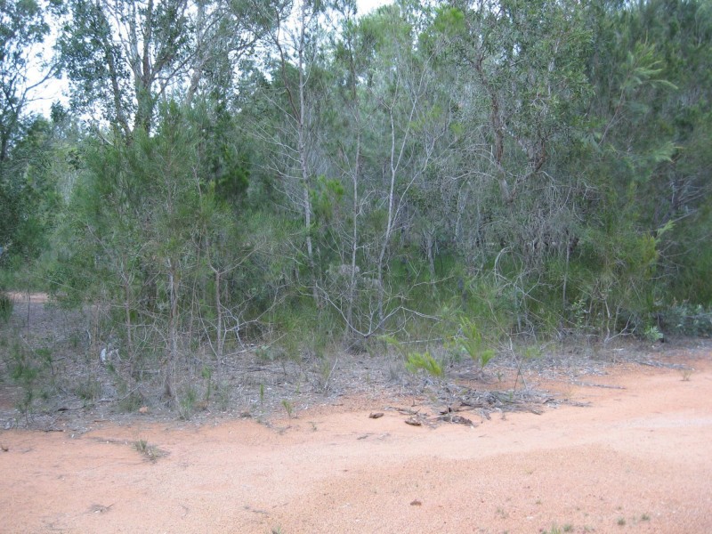 4 Bauhinia Drive, Russell Island QLD 4184