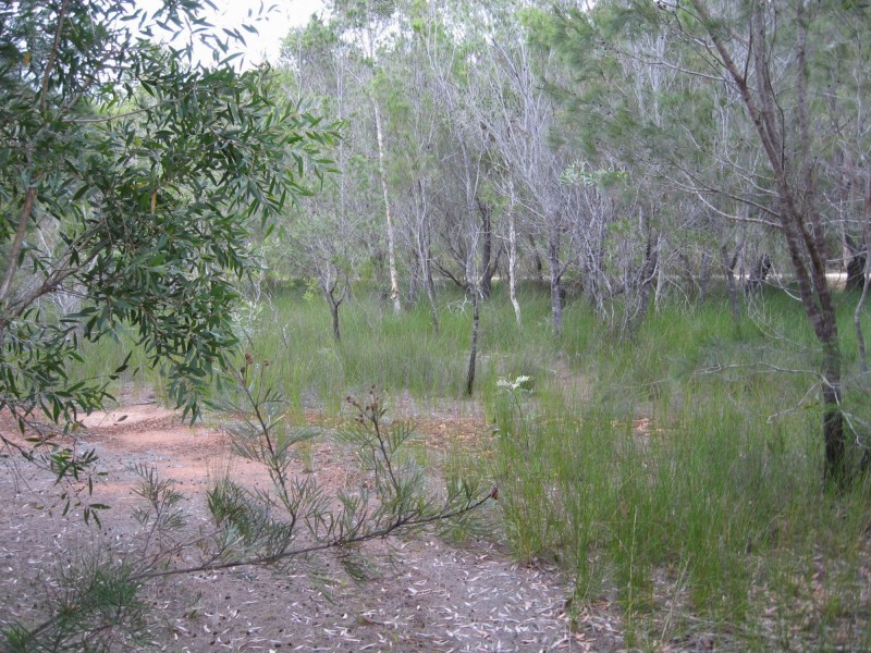 4 Bauhinia Drive, Russell Island QLD 4184